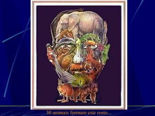 30 animais formam este rosto... 