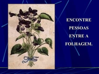 ENCONTRE PESSOAS ENTRE A FOLHAGEM. 