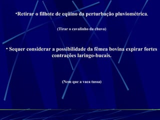 Retirar o filhote de eqüino da perturbação pluviométrica .  (Tirar o cavalinho da chuva)  Sequer considerar a possibilidade da fêmea bovina expirar fortes  contrações laringo-bucais.  (Nem que a vaca tussa)  