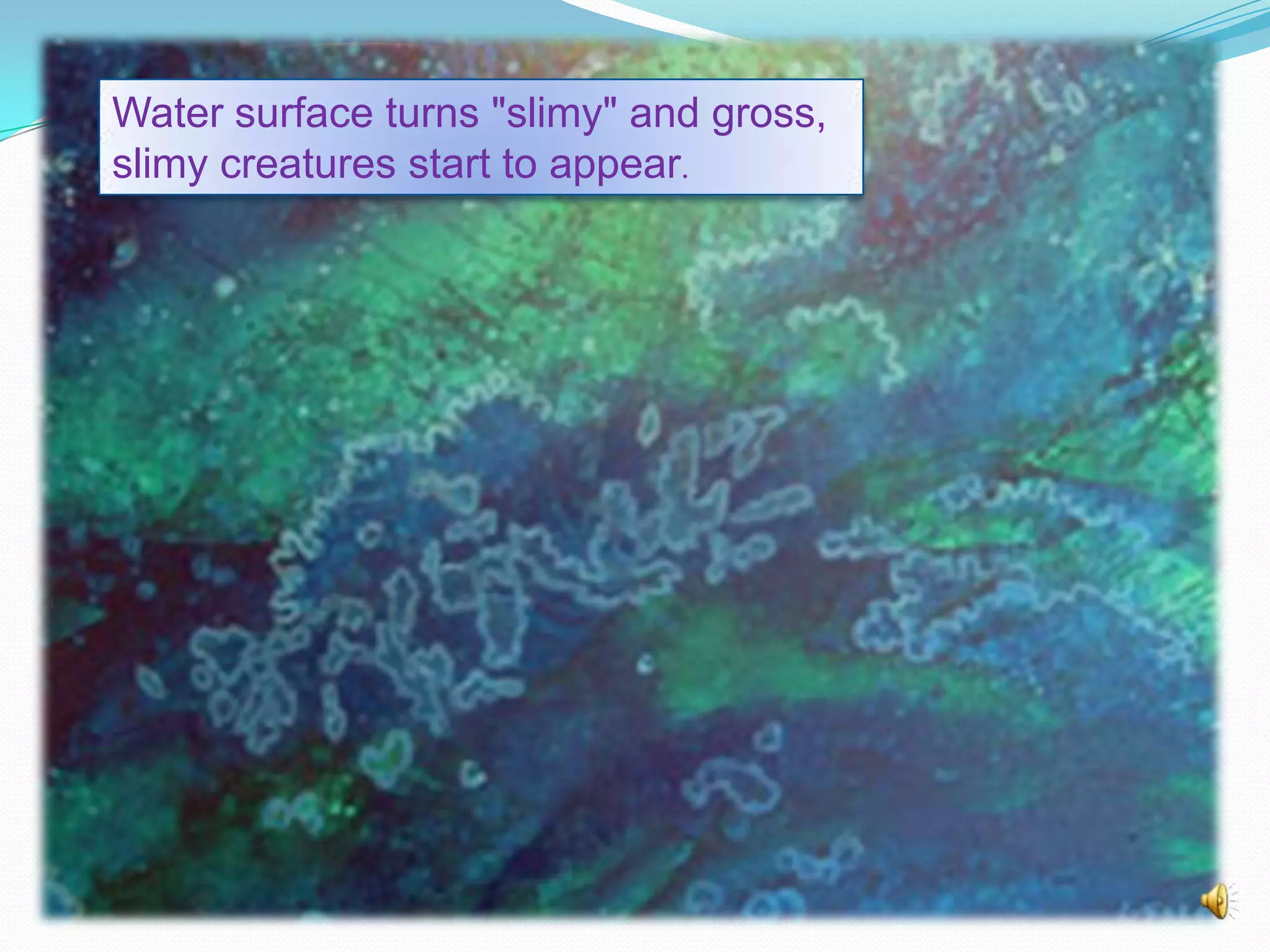 Water surface turns "slimy" and gross,
slimy creatures start to appear.

 