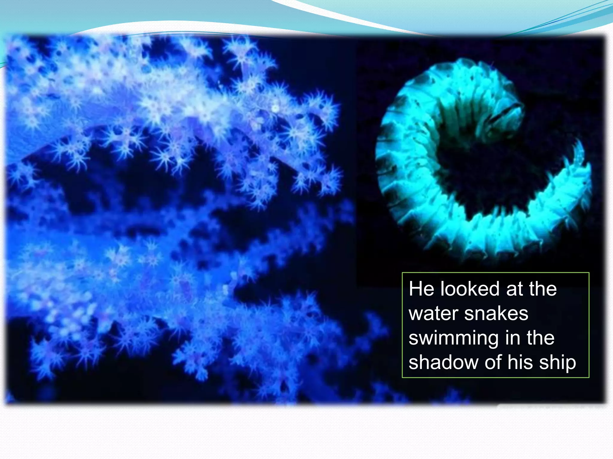 He looked at the
water snakes
swimming in the
shadow of his ship

 