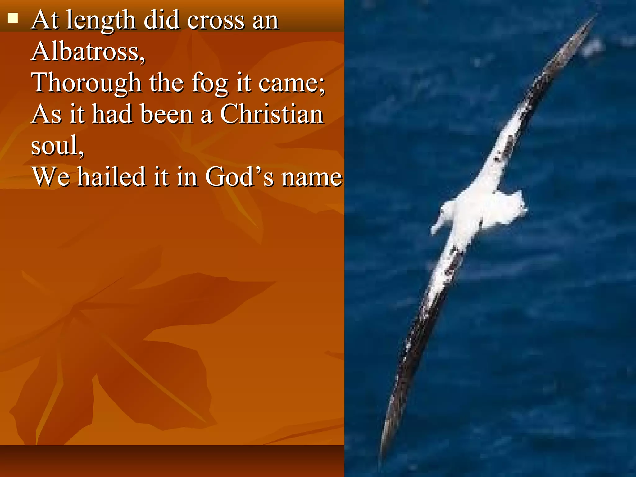 

At length did cross an
Albatross,
Thorough the fog it came;
As it had been a Christian
soul,
We hailed it in God’s name.

 