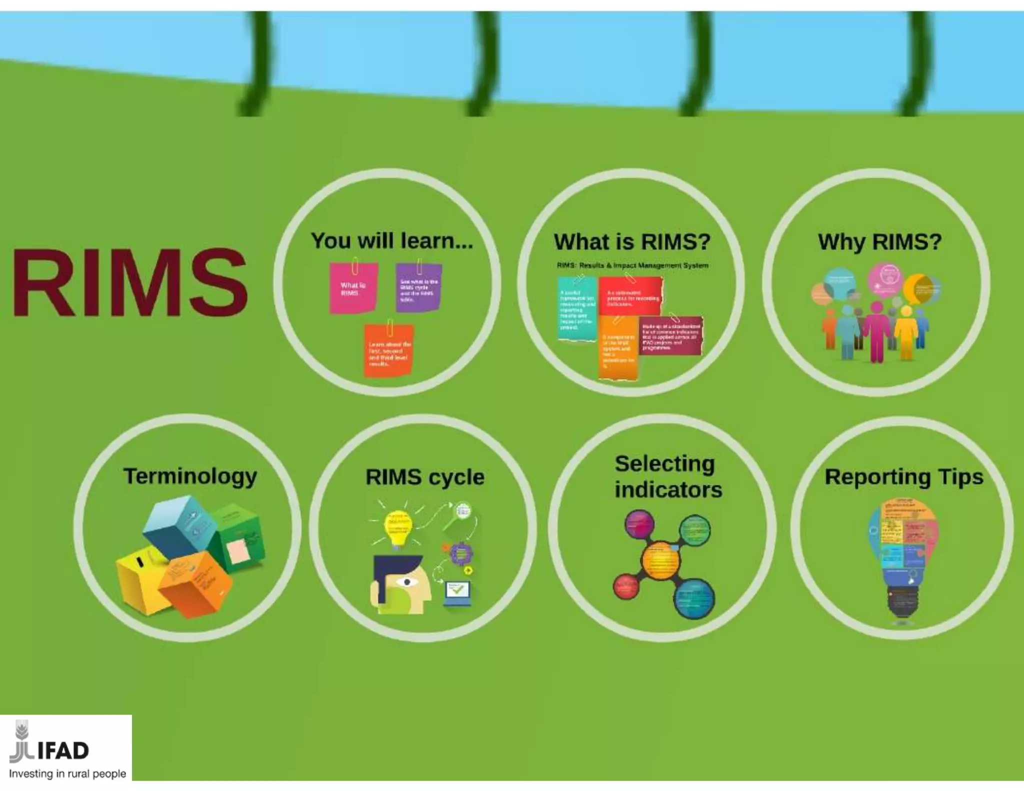 Results and Impact Management System - (RIMS) Tips for reporting | PPSX