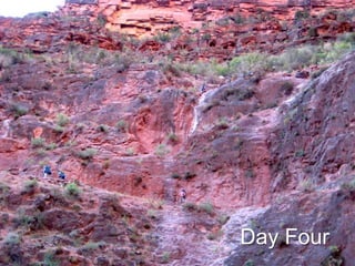 Day Four