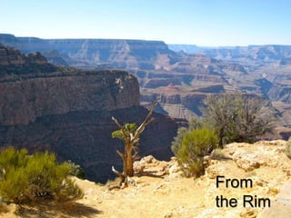 From the Rim