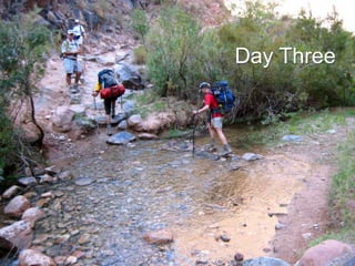 Day Three