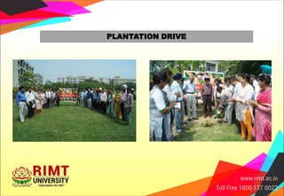 PLANTATION DRIVE
 