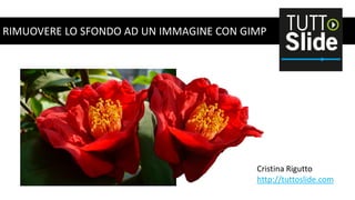 RIMUOVERE LO SFONDO AD UN IMMAGINE CON GIMP

Cristina Rigutto
http://tuttoslide.com

 