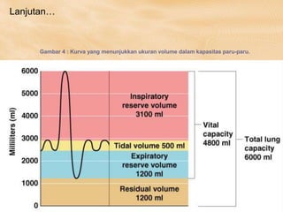 Lanjutan…
Gambar 4 : Kurva yang menunjukkan ukuran volume dalam kapasitas paru-paru.
 