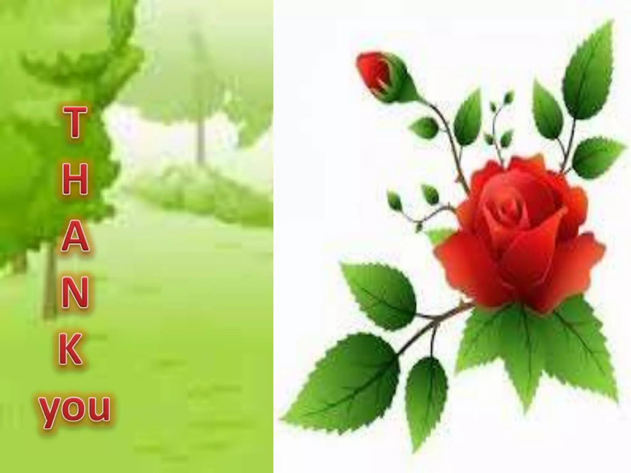 portofolio by Rina astami part 1