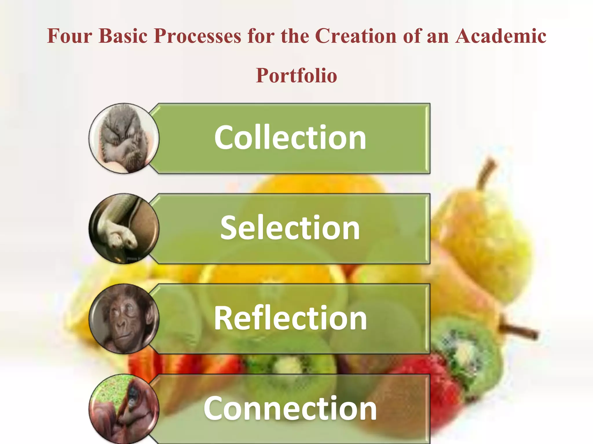 Four Basic Processes for the Creation of an Academic
Portfolio
Collection
Selection
Reflection
Connection
