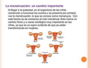 La menstruación: un cambio importante
 Al llegar a la pubertad, en el organismo de las niñas
 comienzan a funcionar los ovarios y se presenta por primera
 vez la menstruación, lo que se conoce como menarquía. Con
 este hecho se da comienzo al ciclo menstrual. Esto marca un
 cambio físico y a veces sicológico muy importante en las
 niñas, ya que es un signo evidente de que se están
 transformando en mujeres.
 