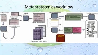 Metaproteomics workflow
 
