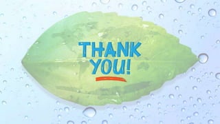 Molecular analysis of Microbial Community