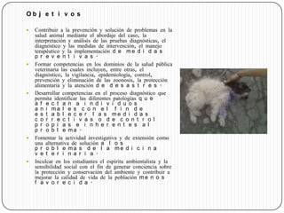 O b j e t i v o s
 Contribuir a la prevención y solución de problemas en la
salud animal mediante el abordaje del caso, la
interpretación y análisis de las pruebas diagnósticas, el
diagnóstico y las medidas de intervención, el manejo
terapéutico y la implementación d e m e d i d a s
p r e v e n t i v a s .
 Formar competencias en los dominios de la salud pública
veterinaria las cuales incluyen, entre otras, el
diagnóstico, la vigilancia, epidemiología, control,
prevención y eliminación de las zoonosis, la protección
alimentaria y la atención d e d e s a s t r e s .
 Desarrollar competencias en el proceso diagnóstico que
permita identificar las diferentes patologías q u e
a f e c t a n a i n d i v i d u o s
a n i m a l e s c o n e l f i n d e
e s t a b l e c e r l a s m e d i d a s
c o r r e c t i v a s o d e c o n t r o l
p r o p i a s e i n h e r e n t e s a l
p r o b l e m a .
 Fomentar la actividad investigativa y de extensión como
una alternativa de solución a l o s
p r o b l e m a s d e l a m e d i c i n a
v e t e r i n a r i a .
 Inculcar en los estudiantes el espíritu ambientalista y la
sensibilidad social con el fin de generar conciencia sobre
la protección y conservación del ambiente y contribuir a
mejorar la calidad de vida de la población m e n o s
f a v o r e c i d a .
 