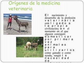 Orígenes de la medicina
veterinaria
E l nacimiento y
desarrollo de la profesión
v e t e r i n a r i a
está l i g a d o a
l a p r o p i a
civilización; e n el
momento en el que
alguien consiguió
d o m e s t i c a r
p o r p r i m e r a
v e z
a n i m a l e s
p a r a
u t i l i z a r l o s
como ganado o como
ayuda, surgió l a
n e c e s i d a d
d e
 