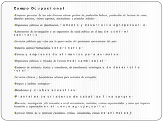 C a mp o O c u p a c i o n a l
Empresas pecuarias de los más diversos rubros: predios de producción lechera, producción de bovinos de carne,
planteles porcinos, ovinos caprinos, pisciculturas y planteles avícolas.
Organismos públicos de planificación, f o m e n t o y d e s a r r o l l o a g r o p e c u a r i o .
Laboratorios de investigación y en organismos de salud pública en el área d e c o n t r o l
s a n i t a r i o .
Servicios públicos que velan por la preservación del patrimonio zoo-sanitario del país.
Industria químico-farmacéutica v e t e r i n a r i a .
Fábricas y e m p r e s a s d e a l i m e n t o s p a r a a n i m a l e s .
Organismos públicos o privados de Gestión m e d i o a m b i e n t a l .
Empresas de asistencia técnica y consultores, de transferencia tecnológica y d e d e s a r r o l l o
r u r a l .
Servicios clínicos y hospitalarios urbanos para animales de compañía.
Parques y jardines zoológicos.
Hipódromos y c l u b e s e c u e s t r e s .
P l a n t e l e s d e c r i a d e r o s d e c a b a l l o s f i n a s a n g r e .
Docencia, investigación y/o extensión a nivel universitario, institutos, centros experimentales y otros que impartes
formación y capacitación e n e l c a m p o a g r o p e c u a r i o .
Ejercicio liberal de la profesión (asistencia técnica, consultorías, clínica d e a n i m a l e s ).
 