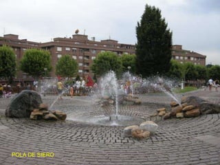 POLA DE SIERO 
