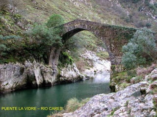 PUENTE LA VIDRE – RIO CARES 