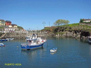 PUERTO VEGA 