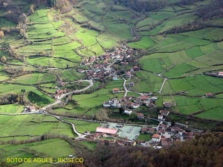 SOTO DE AGUES - RIOSECO 