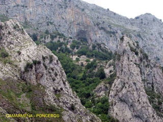 CAMARMEÑA - PONCEBOS 