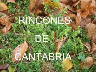 RINCONES DE  CANTABRIA 