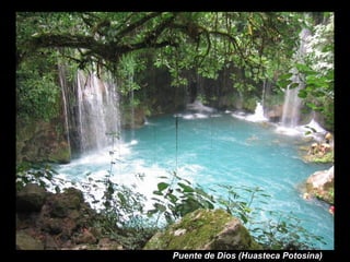 Puente de Dios (Huasteca Potosina)
 
