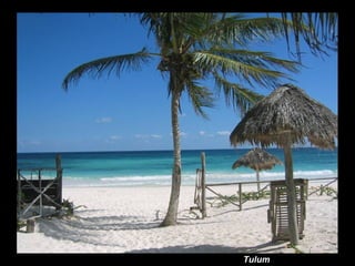 Tulum
 