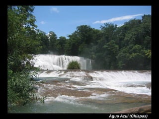 Agua Azul (Chiapas)
 