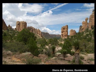 Sierra de Órganos, Sombrerete
 