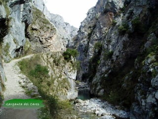 Garganta del Cares
 