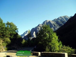 Hoces de
Nocedo
Valdepiélago
 