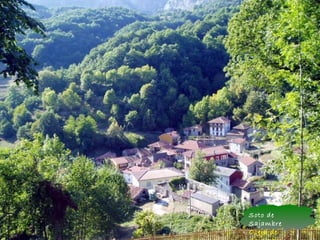 Soto de
Sajambre
Oseja de
 