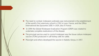  The need to combat rinderpest outbreaks was instrumental in the establishment
of the world’s first veterinary school in 1762 in Lyon, France, and the Office
International des Epizooties (OIE) in 1924, also in France
 In 1994 the Global Rinderpest Eradication Program (GREP) was created to
undertake complete eradicationn of the disease
 The principal vaccine used to control rinderpest was the tissue culture rinderpest
vaccine (TCRV) produced in calf kidney cells for cattle.
 Plowright and others developed the vaccine in Kabete, Kenya, in 1957.
 
