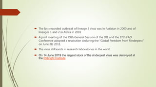  The last recorded outbreak of lineage 3 virus was in Pakistan in 2000 and of
lineages 1 and 2 in Africa in 2001
 A joint meeting of the 79th General Session of the OIE and the 37th FAO
Conference adopted a resolution declaring the “Global Freedom from Rinderpest”
on June 28, 2011.
 The virus still exists in research laboratories in the world.
 On 14 June 2019 the largest stock of the rinderpest virus was destroyed at
the Pirbright Institute
 