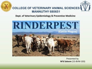 COLLEGE OF VETERINARY ANIMAL SCIENCES
MANNUTHY 680651
RINDERPEST
Dept. of Veterinary Epidemiology & Preventive Medicine
Presented by
M’d Saleem (15-BVM-103)
(Cattle Plague)
 