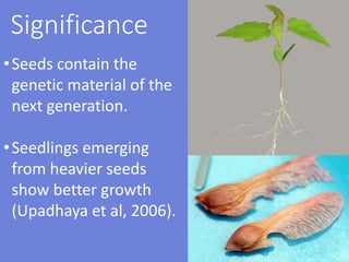 Significance
•Seeds contain the
genetic material of the
next generation.
•Seedlings emerging
from heavier seeds
show better growth
(Upadhaya et al, 2006).
 