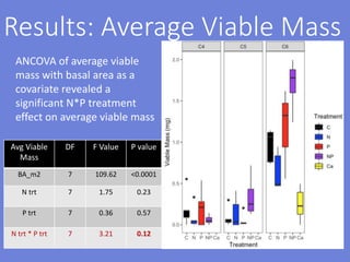 Avg Viable
Mass
DF F Value P value
BA_m2 7 109.62 <0.0001
N trt 7 1.75 0.23
P trt 7 0.36 0.57
N trt * P trt 7 3.21 0.12
Results: Average Viable Mass
ANCOVA of average viable
mass with basal area as a
covariate revealed a
significant N*P treatment
effect on average viable mass
 