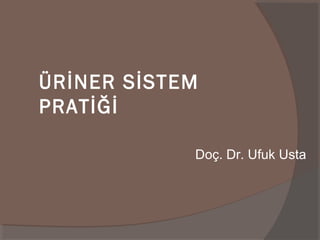 ÜRİNER SİSTEM
PRATİĞİ
Doç. Dr. Ufuk Usta

 