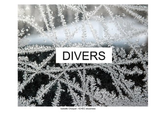 DIVERS 