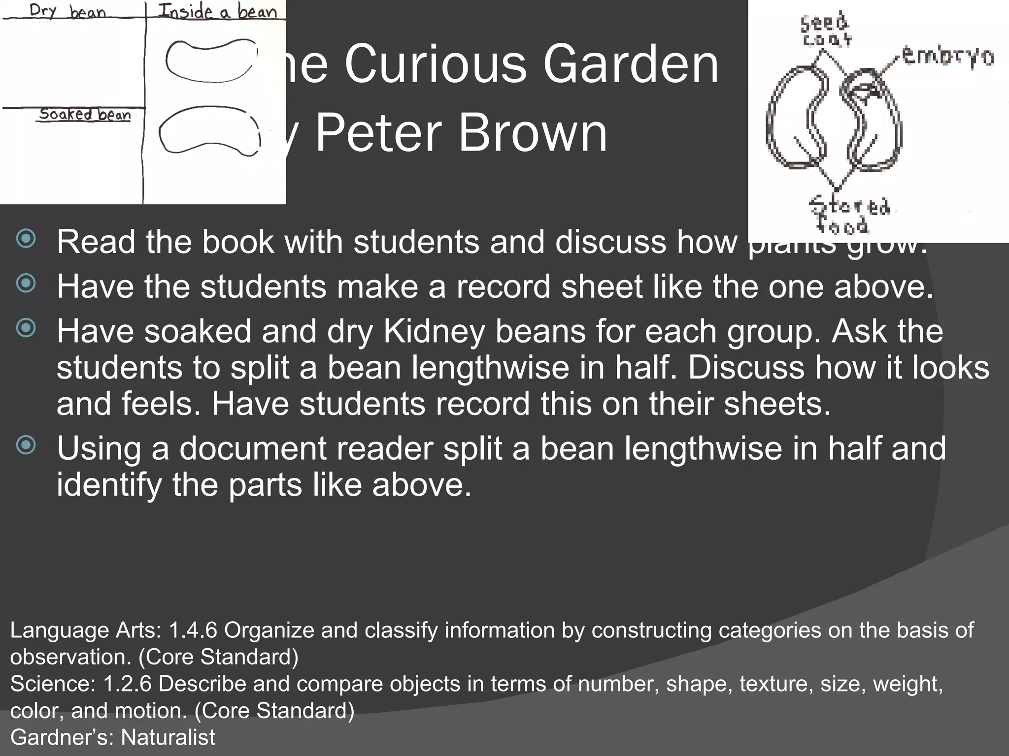 The Curious Garden By Peter Brown Read the book with students and discuss how plants grow. Have the students make a record sheet like the one above. Have soaked and dry Kidney beans for each group. Ask the students to split a bean lengthwise in half. Discuss how it looks and feels. Have students record this on their sheets.  Using a document reader split a bean lengthwise in half and identify the parts like above. Language Arts: 1.4.6 Organize and classify information by constructing categories on the basis of observation. (Core Standard) Science: 1.2.6 Describe and compare objects in terms of number, shape, texture, size, weight, color, and motion. (Core Standard) Gardner’s: Naturalist 