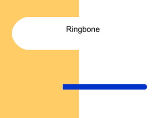 Ringbone
 