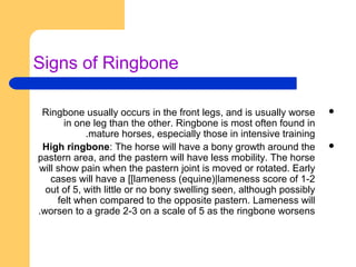 Ringbone prof.karouf | PPT