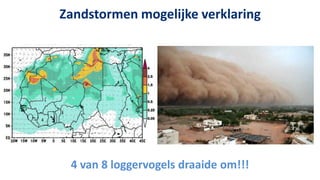 Zandstormen mogelijke verklaring




 4 van 8 loggervogels draaide om!!!
 
