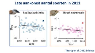 Late aankomst aantal soorten in 2011




                           Tøttrup et al. 2012 Science
 