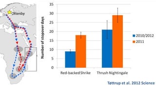 Tøttrup et al. 2012 Science
 
