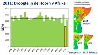 2011: Droogte in de Hoorn v Afrika




                                     Tøttrup et al. 2012 Science
 