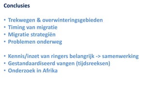 Conclusies

•   Trekwegen & overwinteringsgebieden
•   Timing van migratie
•   Migratie strategiën
•   Problemen onderweg

• Kennis/inzet van ringers belangrijk -> samenwerking
• Gestandaardiseerd vangen (tijdsreeksen)
• Onderzoek in Afrika
 