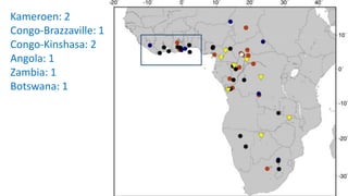 Kameroen: 2
Congo-Brazzaville: 1
Congo-Kinshasa: 2
Angola: 1
Zambia: 1
Botswana: 1
 